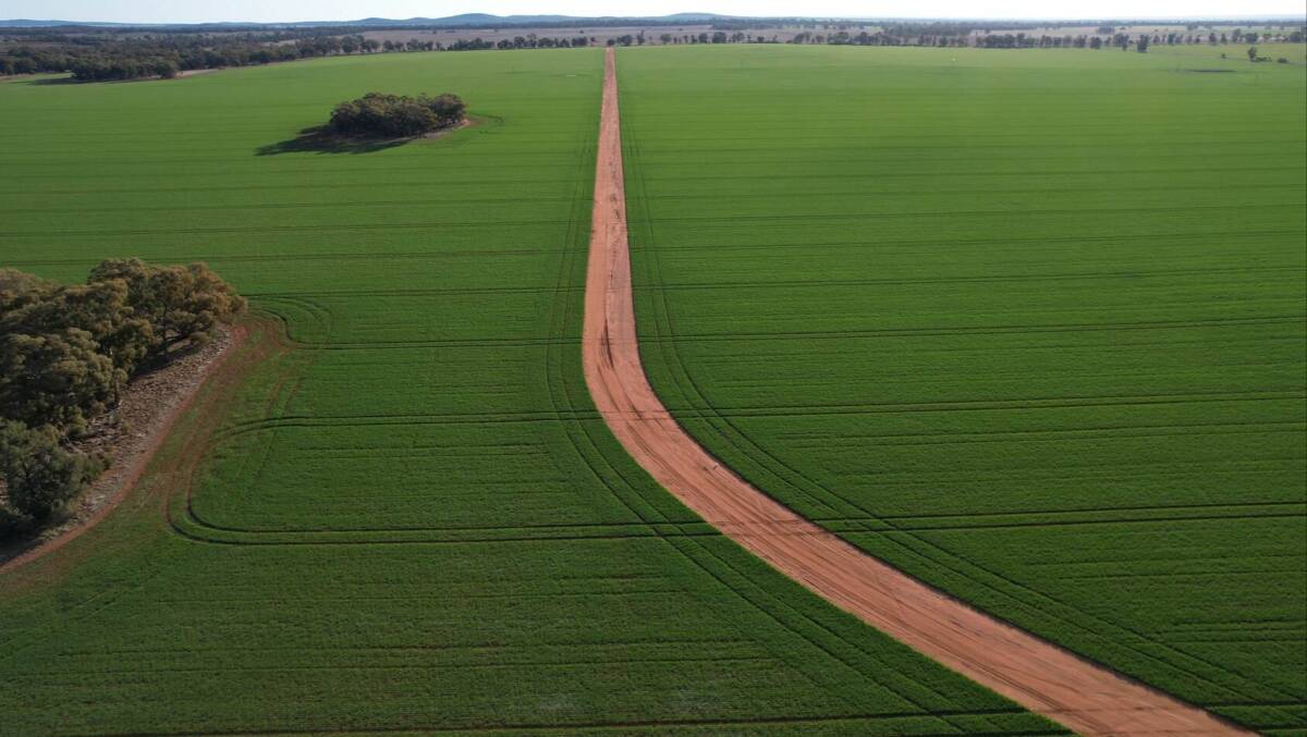 The Part Goodsell aggregation is 1861 hectares of highly productive farming country across seven properties. Picture supplied
