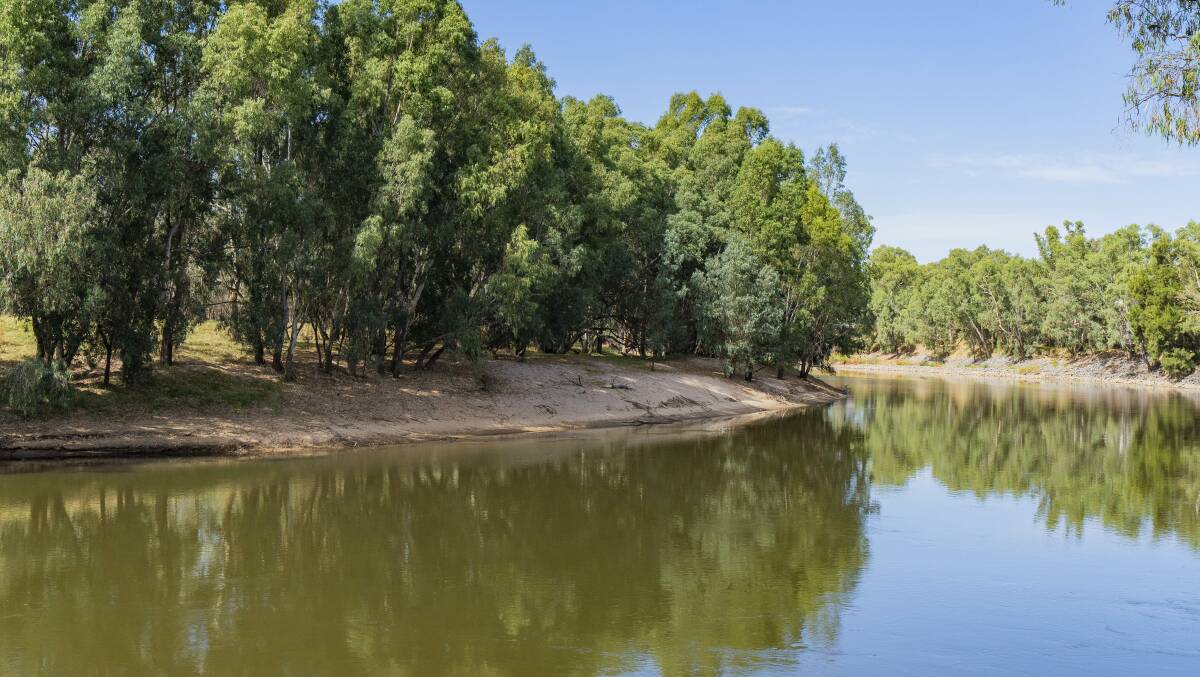 Water for livestock is supplied directly from the river or through a trough system, which can be switched to either town or river supply. Picture supplied