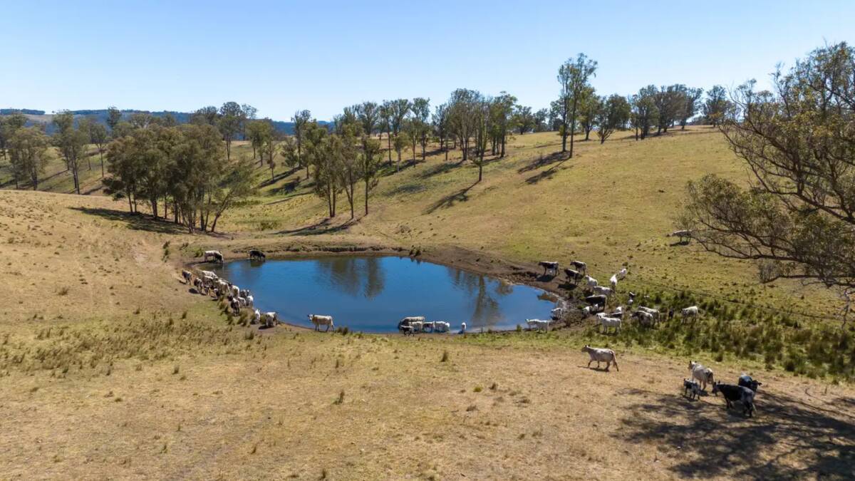 Windaroo is fenced into 10 paddocks with 18 dams and is well suited to a rotational grazing system. Picture supplied