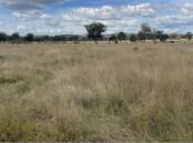 Negotiations are continuing on 735 hectare Texas property Glen Eden, which was passed in at auction on Thursday. 