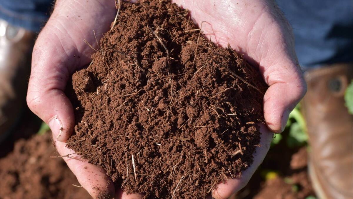 The red loam soils have benefited from outstanding cropping management systems and programs over an extended period. Picture supplied
