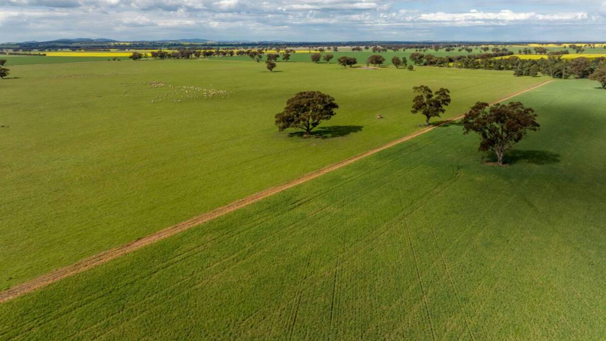 Rockleigh comprises of fertile, open, arable country. Picture supplied