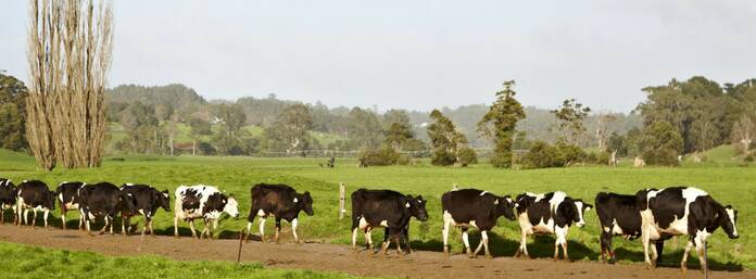 NEW ERA: The dairy industry's long awaited Mandatory Code of Conduct comes into force from January 1.