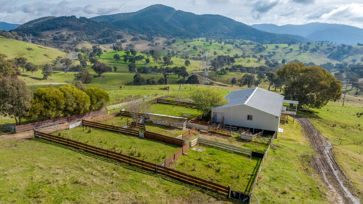 Spectacular Tumut country delivers cattle productivity