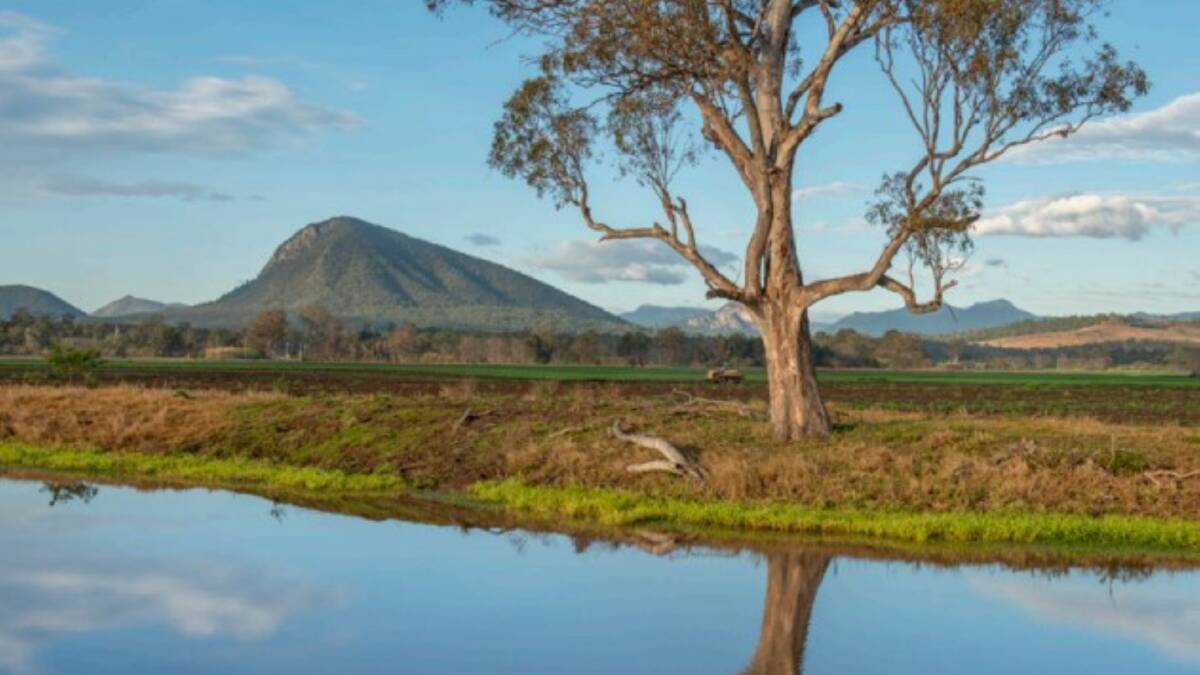 Baloo and Gwingana - two top irrigation properties in the Scenic Rim's Aratula district - have sold to neighbouring landholders.