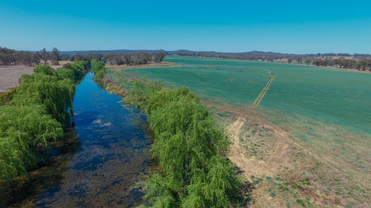 Holmwood is 259 hectares of highly productive country located on the Macintyre River, in the Brodies Plains district 9km east of Inverell. Picture supplied