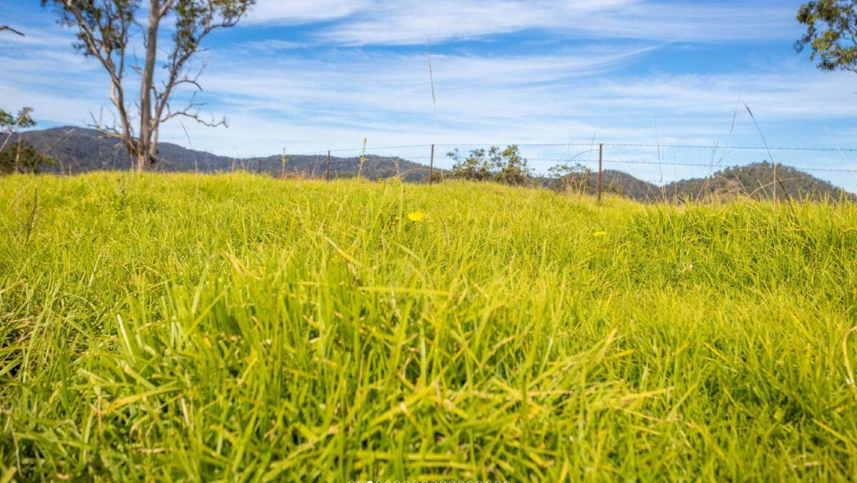 Pastures include kangaroo grass, red grass, paspalum and kikuyu, with sub clover and white clover also evident. Picture supplied