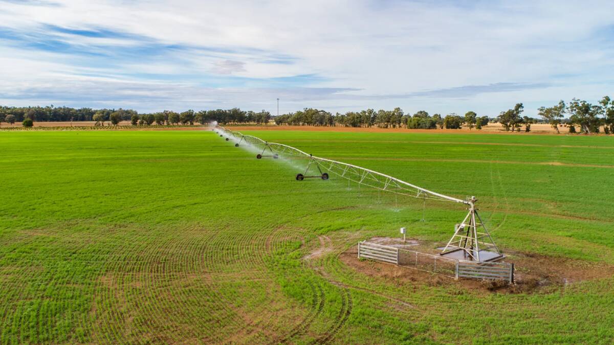 Centre pivot irrigators cover about 80 hectares. Picture supplied