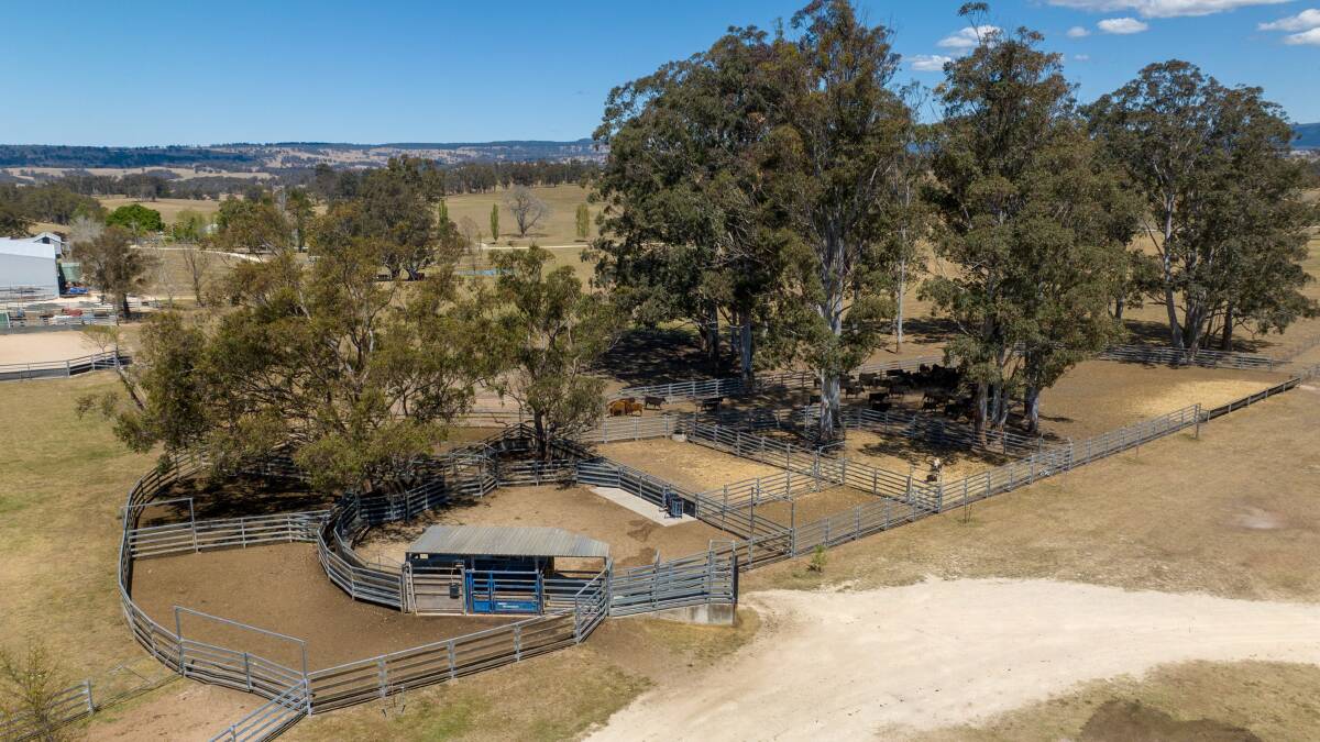 Infrastructure on Carinya includes two sets of cattle yards. Picture supplied