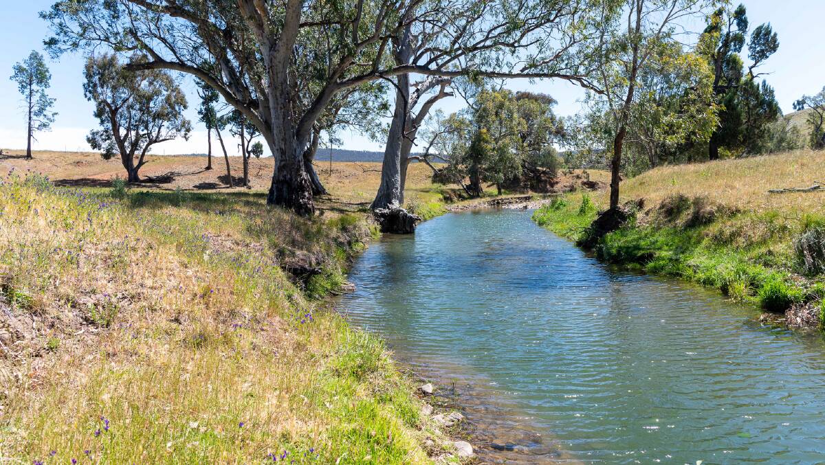 Water is a feature of the property and includes a double frontage to the spring fed Reedy Creek. Picture supplied