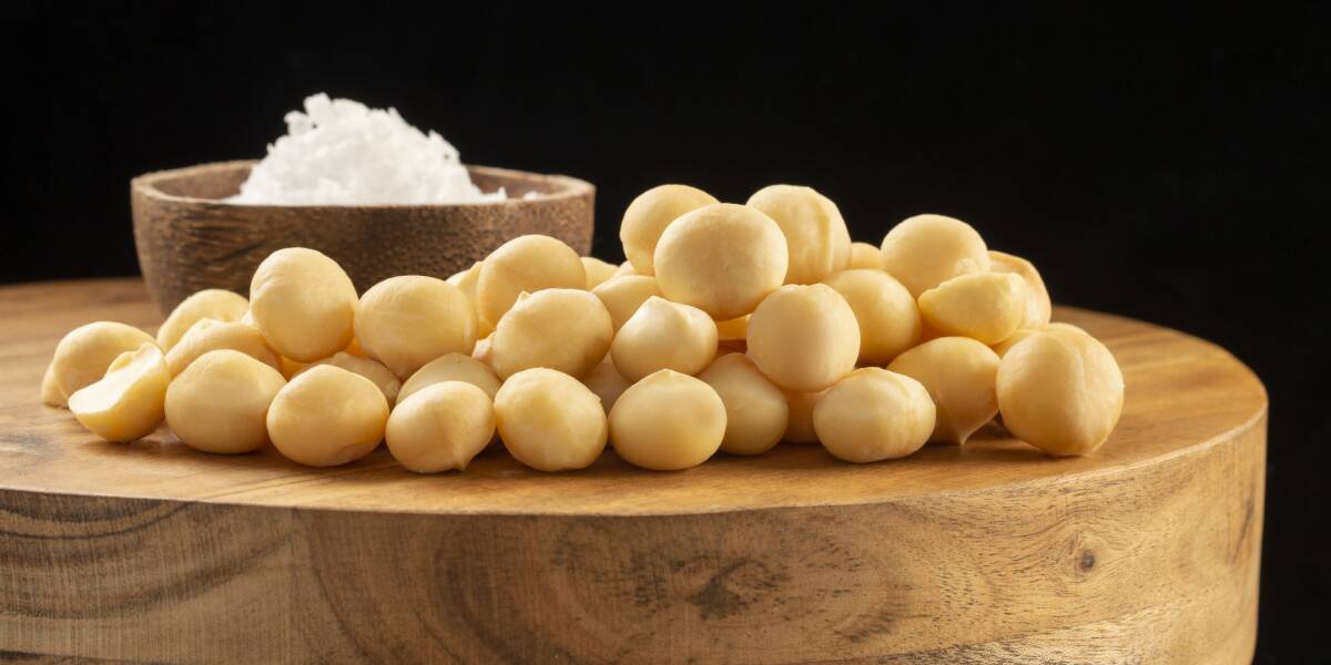 Premium product: Australia's Marquis Group is investing globally to increase macadamia volumes, sales and supply.