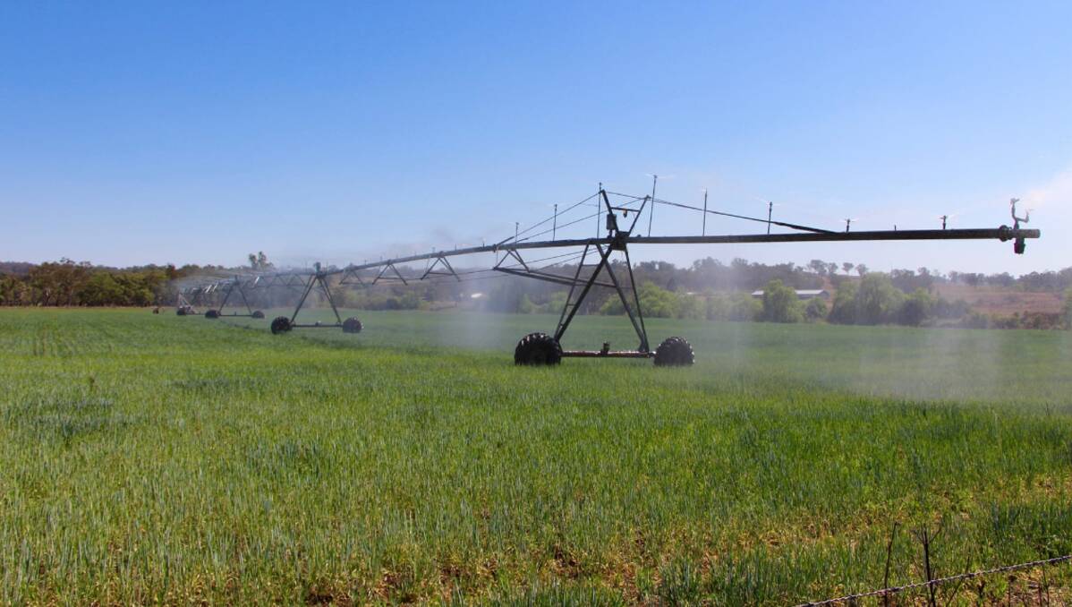 Holmwood has a 140 megalitre irrigation licence. Picture supplied