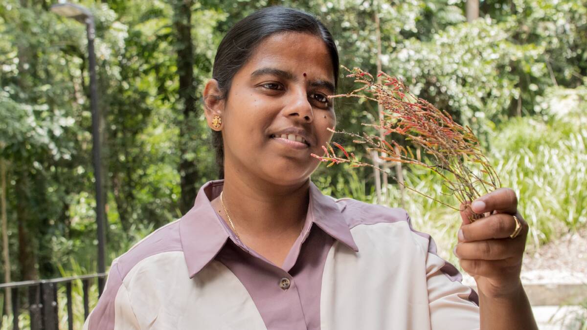 Sukirtha Srivarathan aims to continue to work with the community to get a dehydrated halophyte product into market.