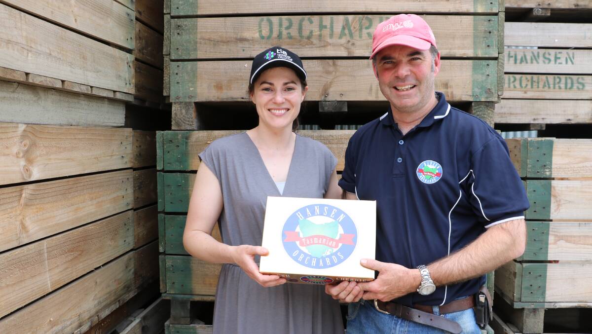 Tasmanian Institute of Agriculture PhD candidate, Claire McCrory, with Hanson Orchards managing director, Howard Hansen, discussing the research into cherry shelf life.
