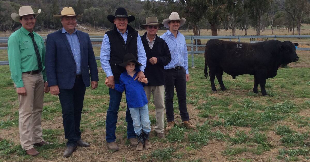 Auctioneers Simon Booth, Nutrien, and Darren Perkins, George and Fuhrman, Ced Wise and his grandson Jack Galvin, buyer Ian Price, Moongool, Yuleba, and Aaron Wise, Glenisa Angus, Glen Aplin, with the $18,000 top priced bull Glenisa J Bandolier.