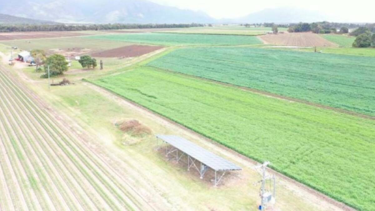November 11: A newly developed 99 hectare irrigation farm on the Haughton River is headed to auction.