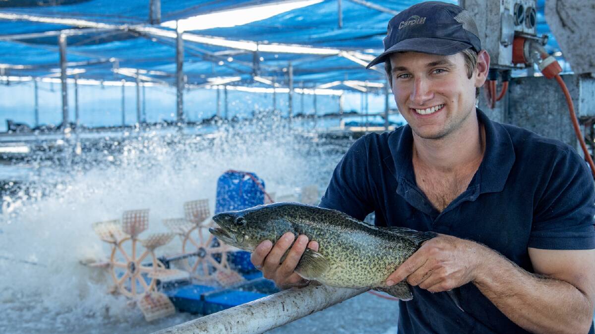 Condabilla Farm manager Scott Valler with a Murray cod.