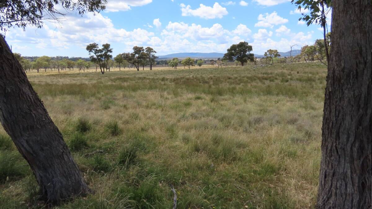 Part Severn Vale, a 218 hectare Northern Tablelands property has sold for well above pre-auction expectations. Picture - supplied
