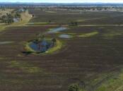 Versatile Central Queensland property Dunrobin is headed to auction on September 14 complete with water entitlements. 