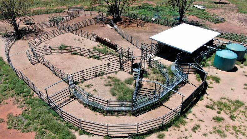 Lonesome has a large set of steel cattle yards complete with covered curved race.