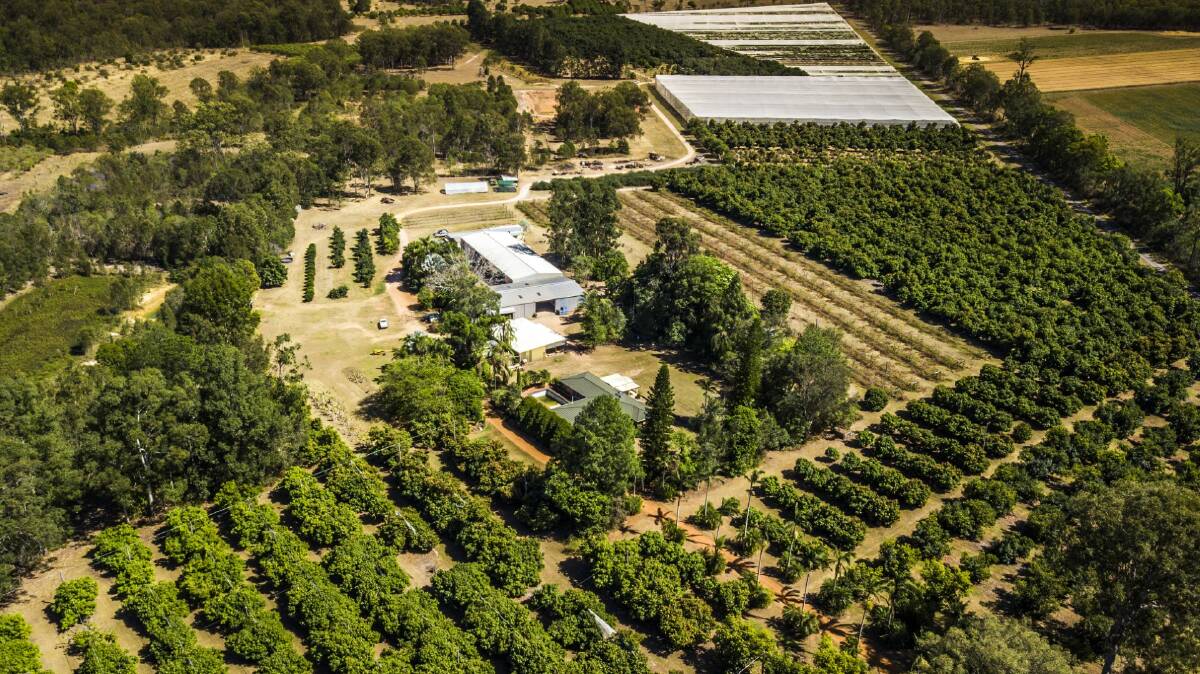 AUCTION: Greg and Jenny Krenske’s Lockyer Valley orchard farmgate 1411 will be auctioned by Colliers International on October 26.