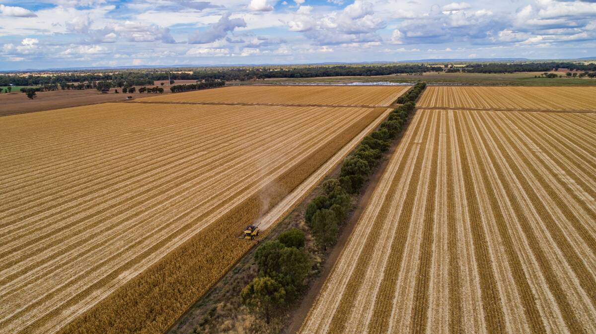 The 470 hectare Nerreman and Otisa aggregation is being sold through an expressions of interest campaign. Picture supplied