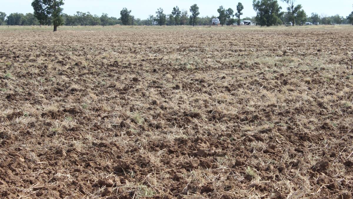 About 85 per cent of the property is arable, which has open plains with self mulching soils and red and chocolate loams. Picture - supplied