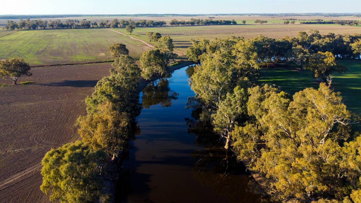 North Bogabigal is an exceptionally well-located farm in the heart of NSW's highly productive Lachlan Valley. Picture supplied