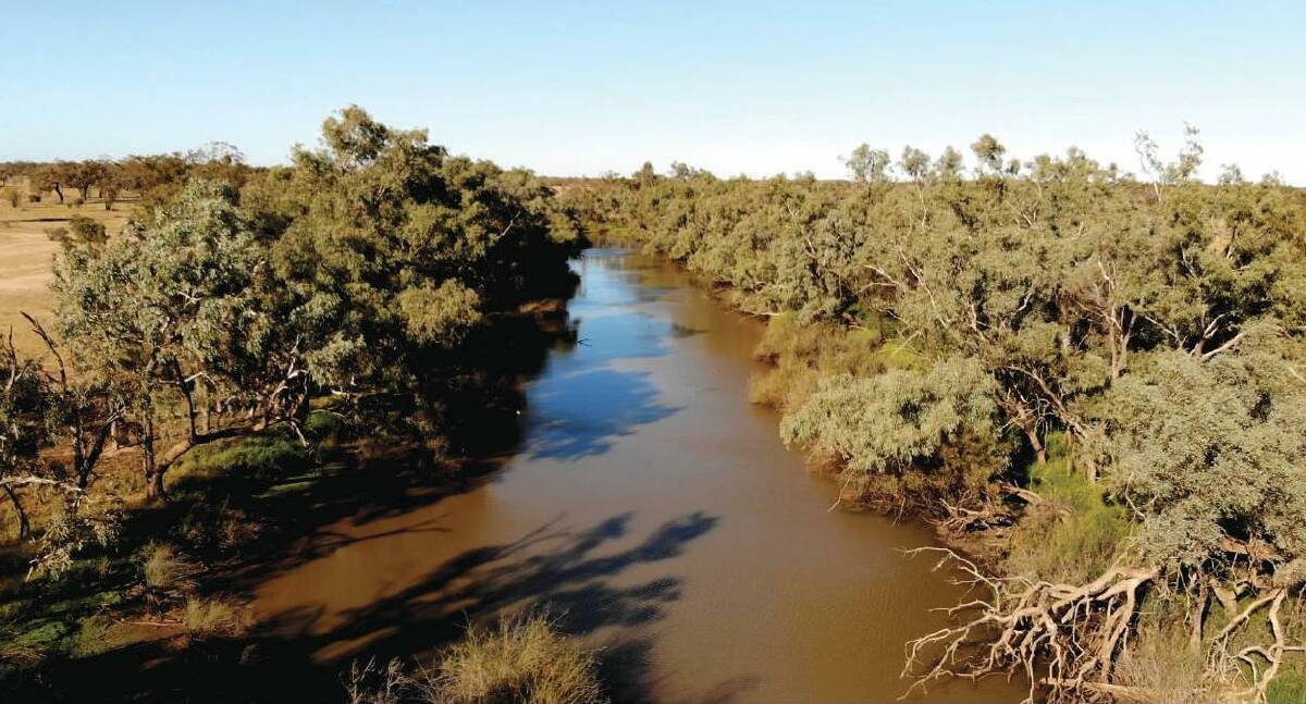 Autumnvale has a 25km frontage to the Bulloo River.
