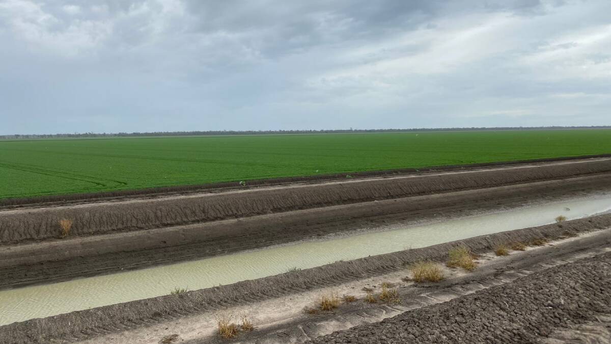 Booberoi has 1028 hectares of well designed irrigation. Picture - supplied