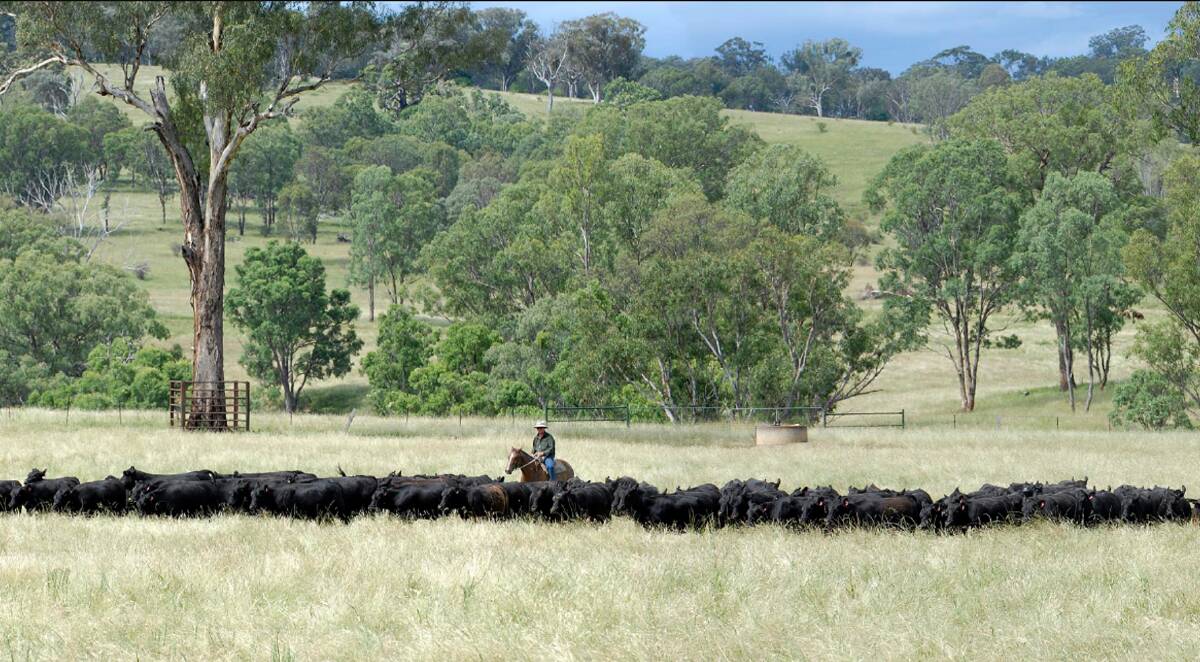 Take a look at our list of top NSW rural property sales in 2022