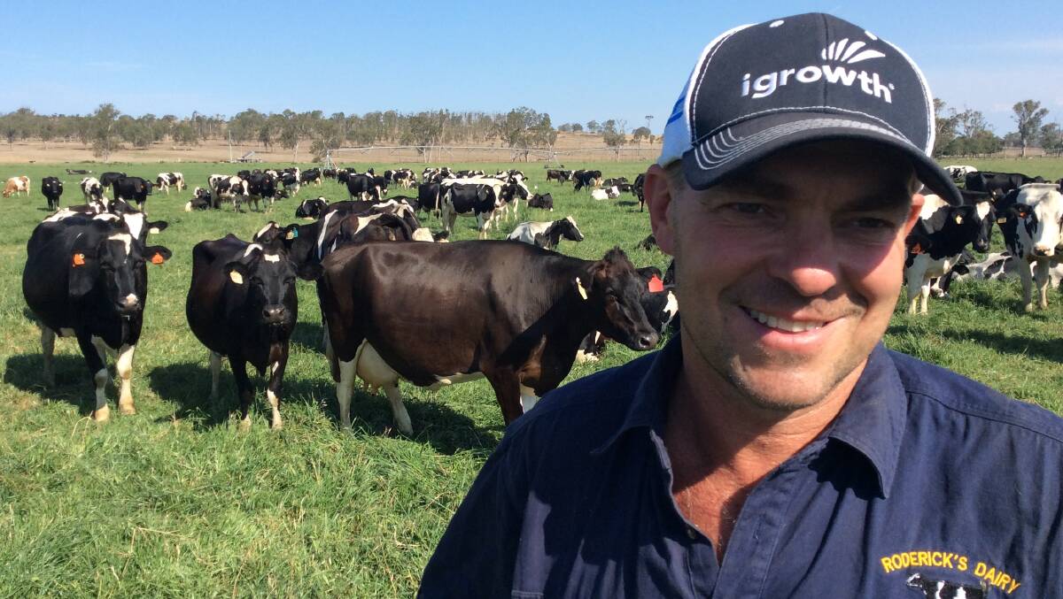 BOARD ELECTIONS: Harrisville dairy farmer Paul Roderick says strong regional input is vital to the future success of the dairy industry. Mr Roderick is standing for the board of Dairy Australia.