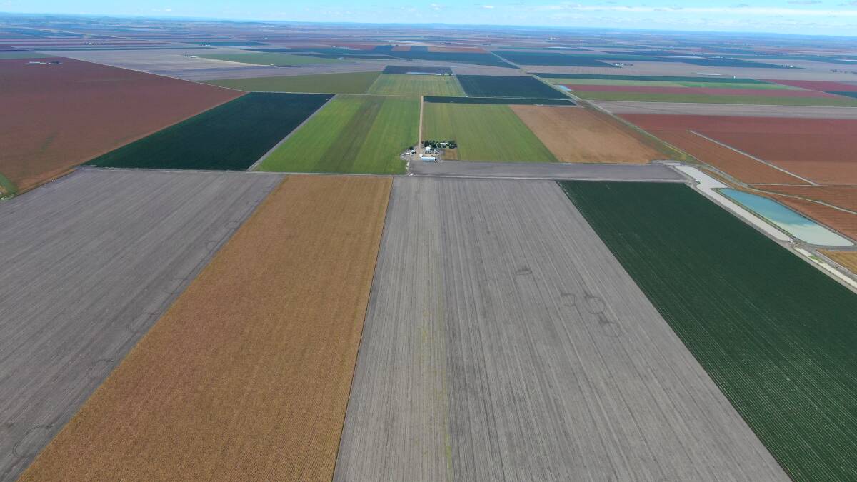 The Wynola aggregation covers 638 hectares 10km north of Brookstead.