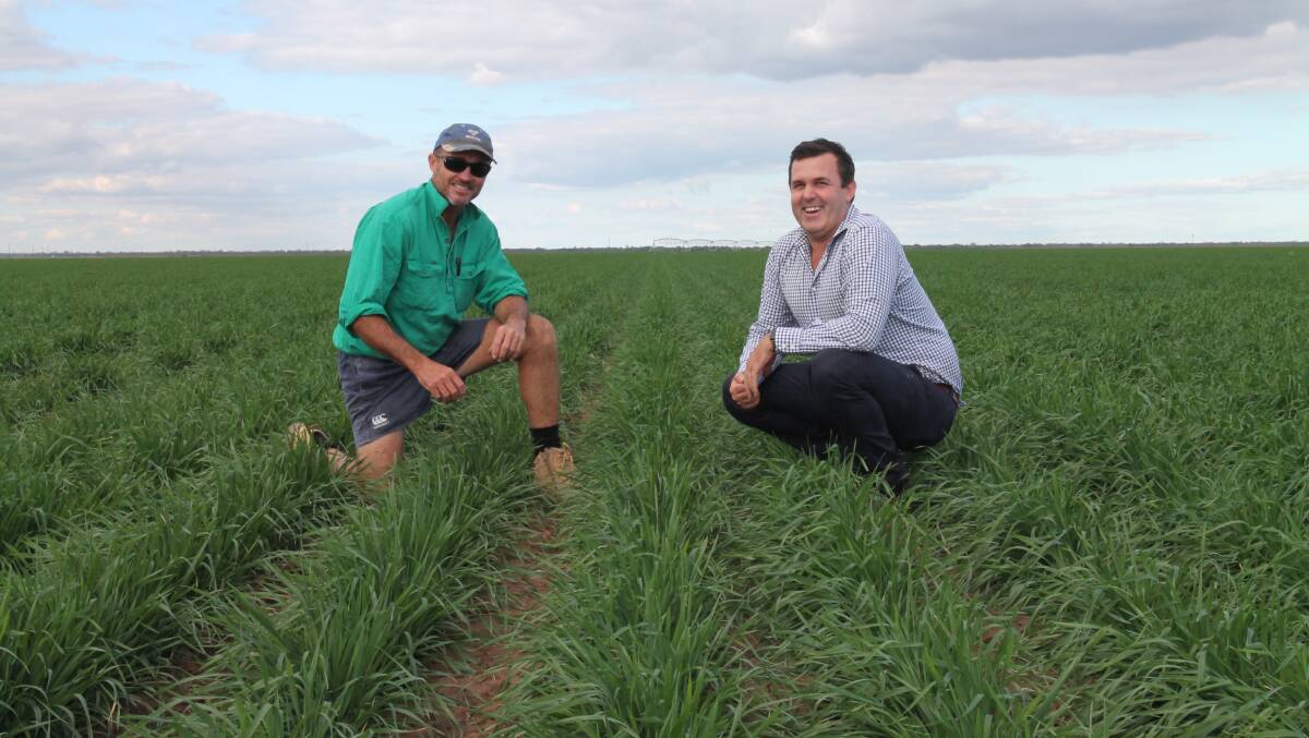 Codenwarra West manager Chris McCullagh and Jez McNamara, Ray White Rural.