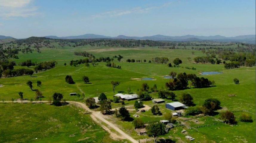 Bald Rock will be auctioned by George and Fuhrmann in Tenterfield on March 19.