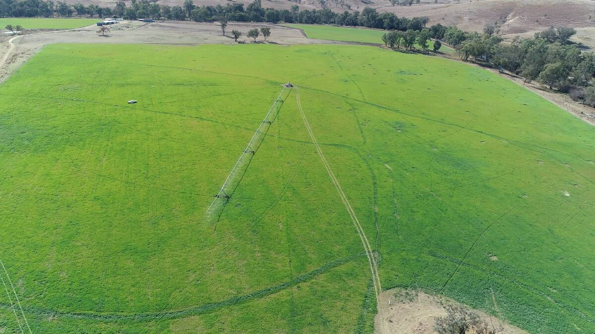 The four span centre pivot irrigator covers 32ha and is backed by 151 megalitres of water licenses. Picture supplied