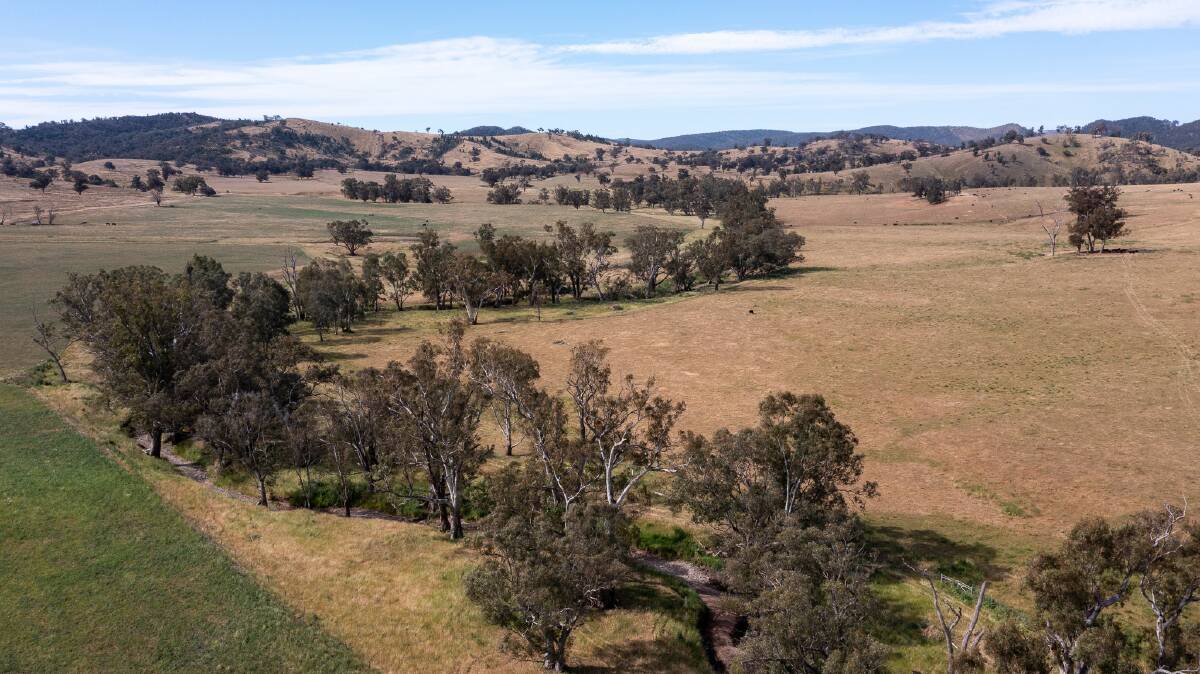 Highly regarded 1212 hectare property Avalon West is on the market with a price guide of $7.5-$8.5 million. Picture supplied