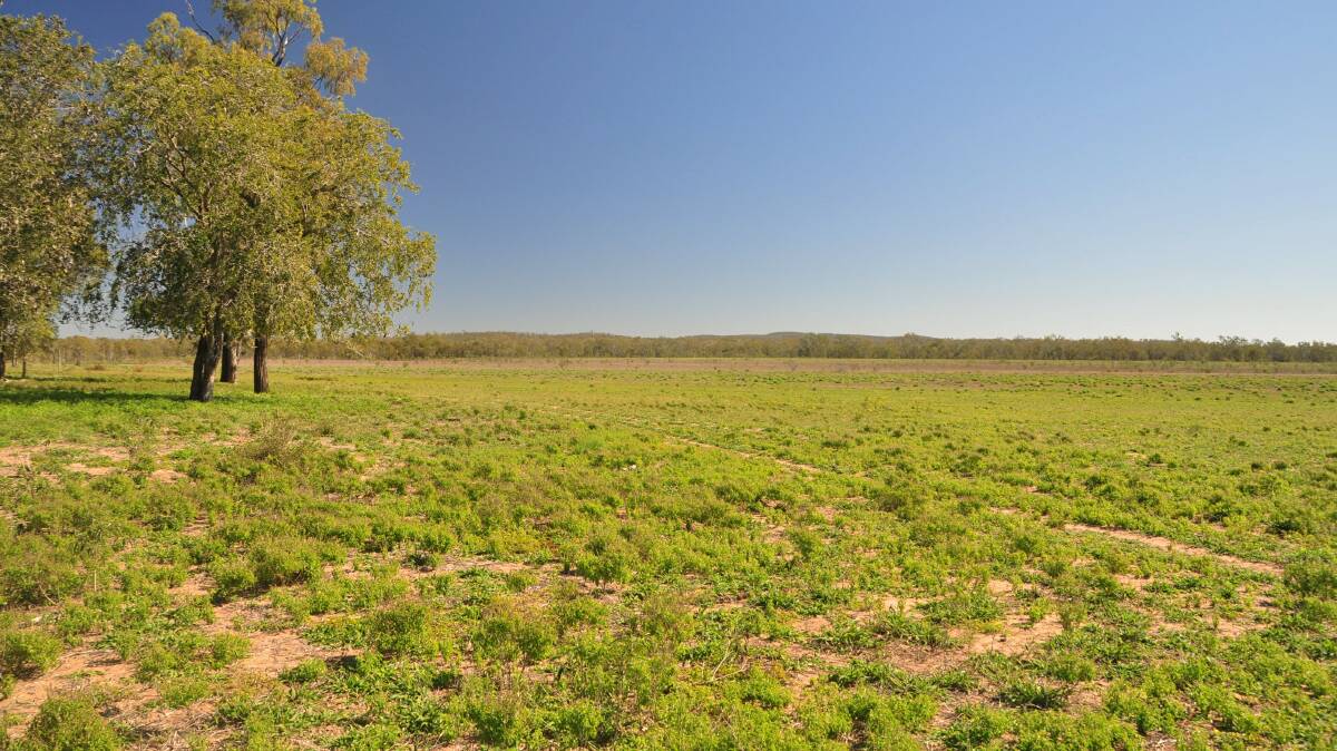 RAY WHITE RURAL: The very well developed 6268 hectare Duaringa property Slatey Creek has sold at auction for more $15 million.