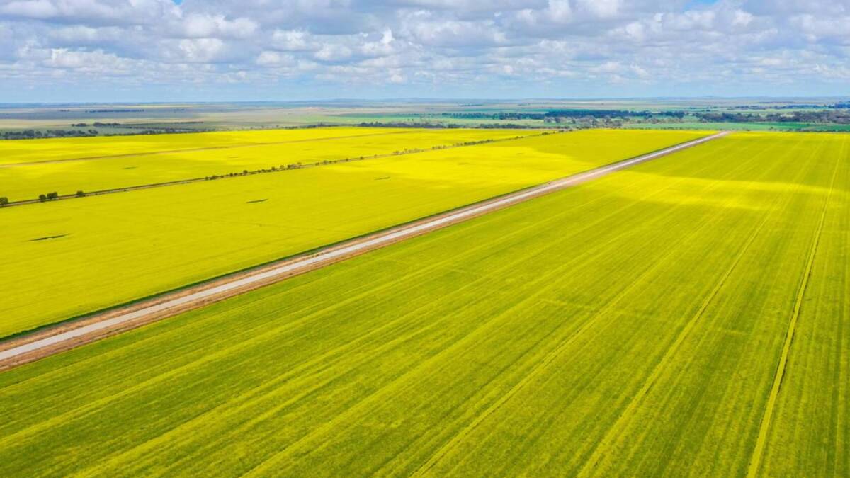Torrumbarry Farms is a large scale 4031 hectare aggregation underpinned by significant water entitlements. Picture supplied