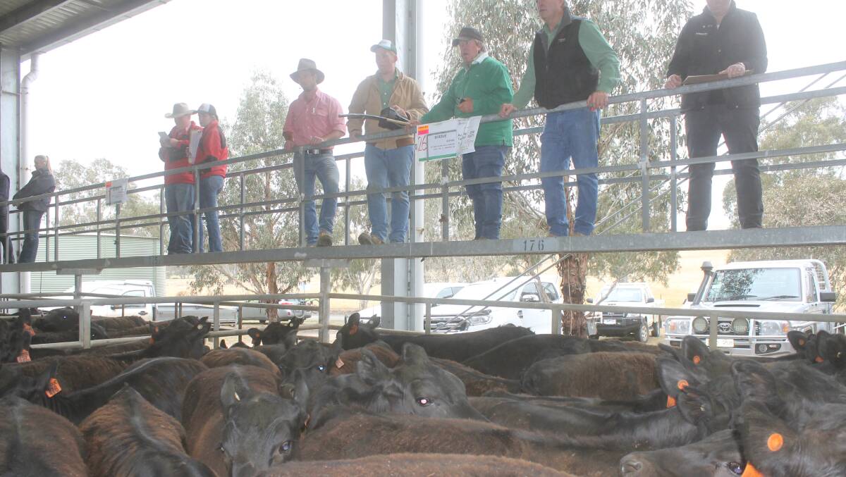 Auctioneer at Yea store sale saw prices vary wild after a sticky start to the market