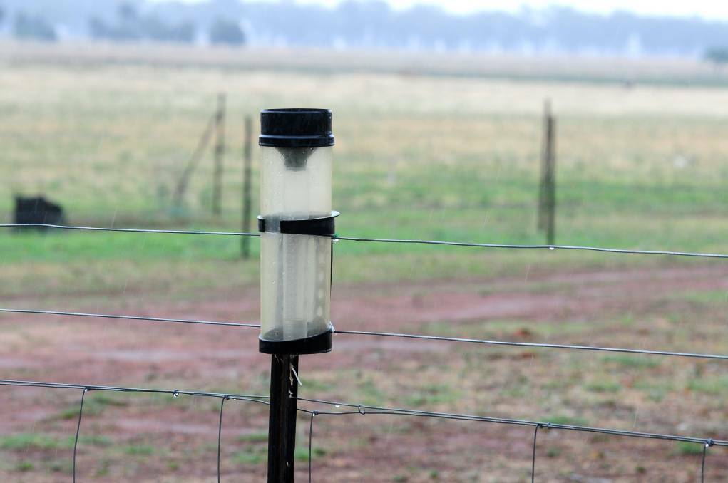 Much of the New South Wales cropping belt has recorded an average of about 250 millimetres of growing season rainfall in the gauge, but conditions in other states have been inconsistent.