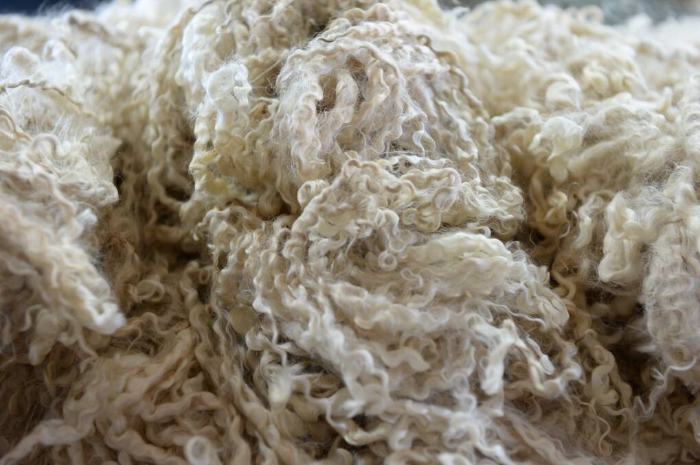 Marketing mohair is an option for producers who incorporate Angora goats into their mix, said Mr Clark. 